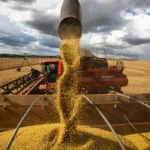CNI mantém previsão de alta do PIB em 2,3% impulsionada pelo agro