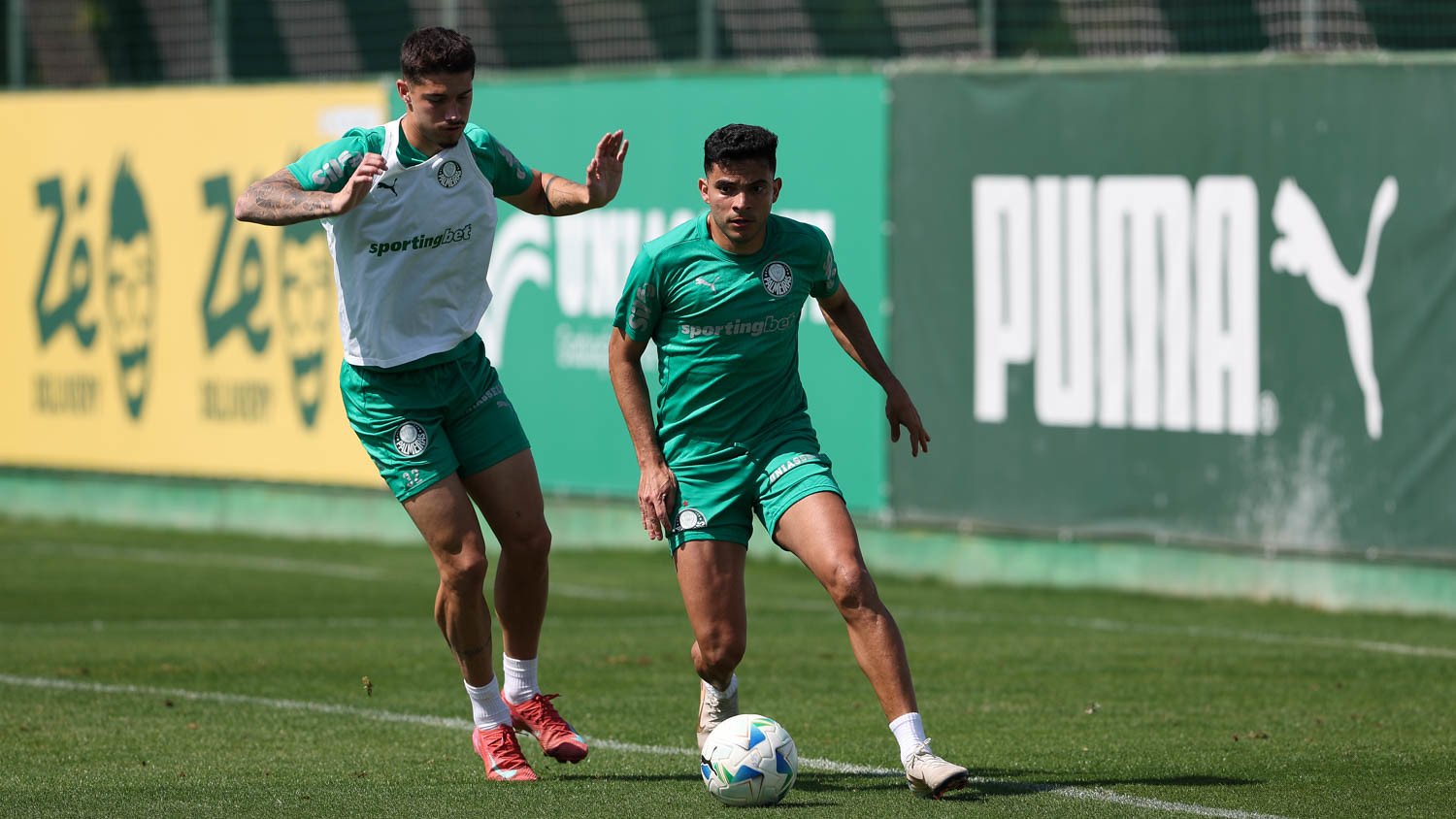 Universitario x Palmeiras: onde assistir, prováveis escalações e análise do confronto pela Libertadores 2025. Imagem: Cesar Grecco/Ag. Palmeiras Universitario x Palmeiras: onde assistir, prováveis escalações e análise do confronto pela Libertadores 2025. Imagem: Cesar Grecco/Ag. Palmeiras