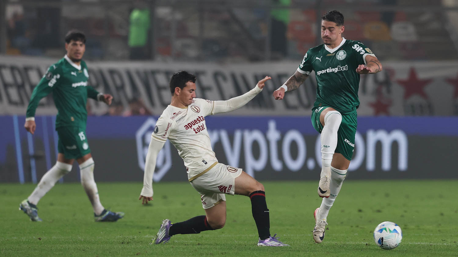 Palmeiras x Universitario: onde assistir, escalações e tudo sobre o duelo decisivo da Libertadores. Imagem: Cesar Greco/Ag. Palmeiras Palmeiras x Universitario: onde assistir, escalações e tudo sobre o duelo decisivo da Libertadores. Imagem: Cesar Greco/Ag. Palmeiras