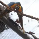 BioParque