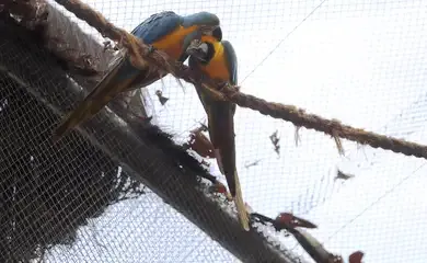 BioParque