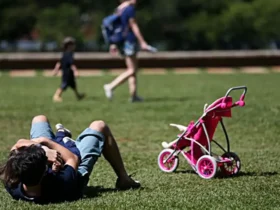 Dia dos pais, criança brincando com o pai no parque