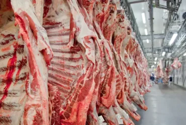 Exportação de carne bovina bate recorde antes do tarifaço dos EUA
