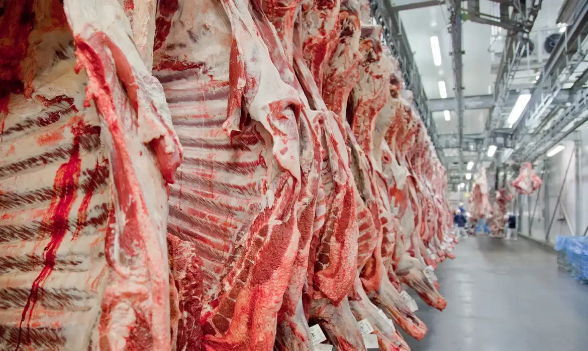 Exportação de carne bovina bate recorde antes do tarifaço dos EUA