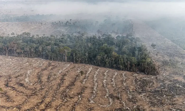 Apenas 7% das ações judiciais de grilagem na Amazônia resultam em condenação