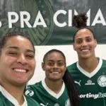 Brasileirão: Palmeiras e Cruzeiro avançam às semifinais em busca do título inédito