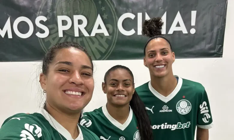 Brasileirão: Palmeiras e Cruzeiro avançam às semifinais em busca do título inédito