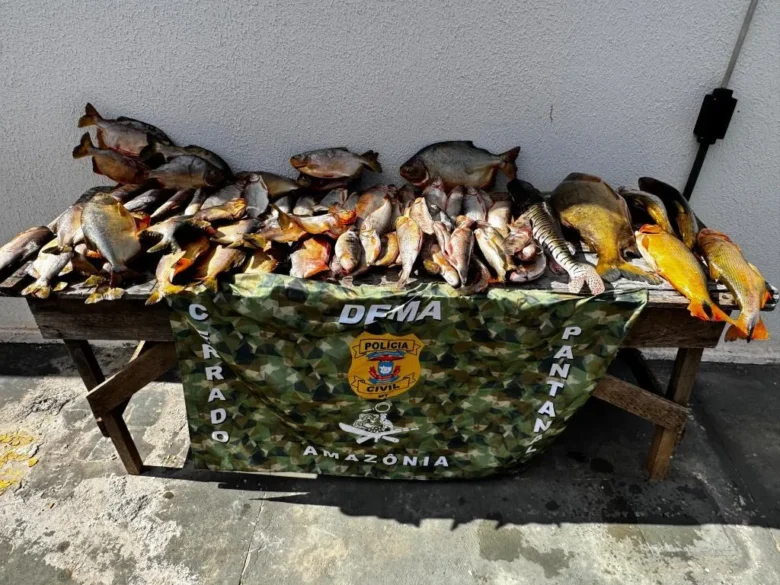 Polícia Civil - MT
