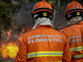 Incêndios florestais mobilizam bombeiros em várias cidades de Mato Grosso