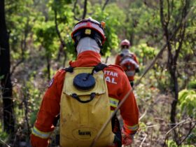 Bombeiros combatem incendios em Mato Grosso mas focos em terras indigenas ficam sem atendimento