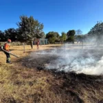 Multas ambientais em Mato Grosso somam R$ 25 milhões e cinco prisões em flagrante