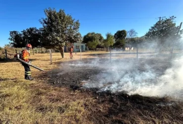 Multas ambientais em Mato Grosso somam R$ 25 milhões e cinco prisões em flagrante