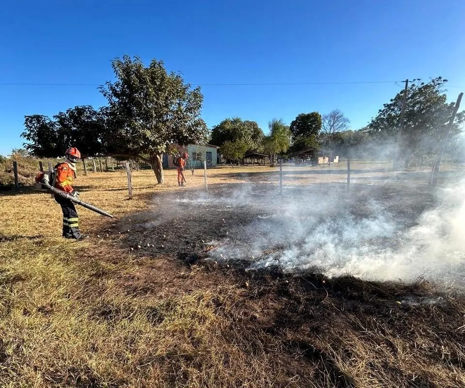 Multas ambientais em Mato Grosso somam R$ 25 milhões e cinco prisões em flagrante