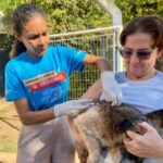 Campanha antirrabica ja soma mais de 4 mil animais protegidos somente na zona rural