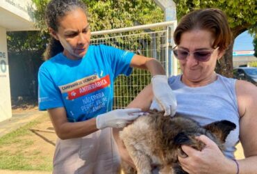 Campanha antirrabica ja soma mais de 4 mil animais protegidos somente na zona rural
