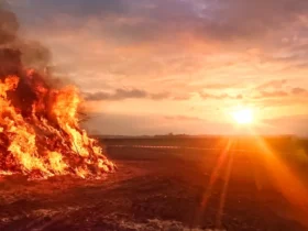 Clima em Mato Grosso