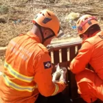Resgate de cadela e filhotes em área de risco mobiliza bombeiros em Alto Araguaia