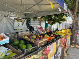 Feira na sede da Secretaria de Estado de Agricultura Familiar