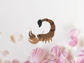 Horóscopo para o signo de Escorpião