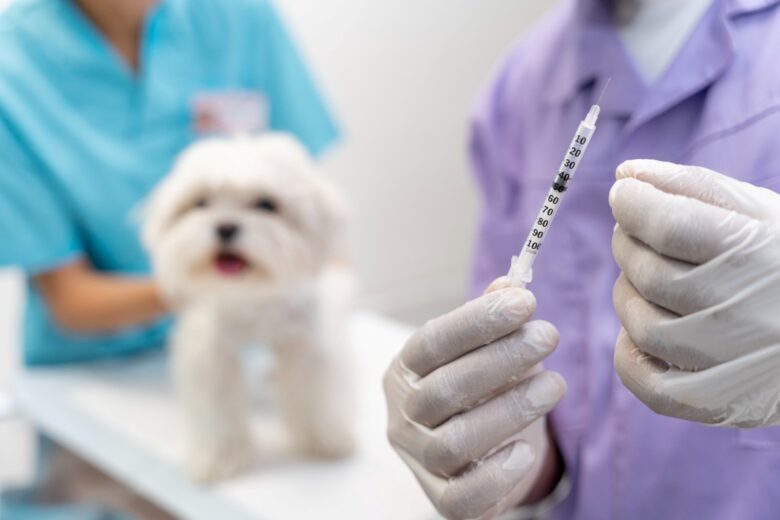 Imunizacao preventiva protege pets de doencas fatais Freepik 3