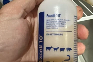 Indea determina suspensão da vacina Excell 10 em Mato Grosso após mortes no Piauí