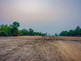 MPF investiga obra de estrada sem licença ambiental em Terra Indígena do Xingu