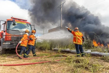Mato Grosso registra queda histórica nos focos de calor em julho