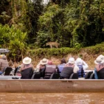 Mato Grosso busca inspiração na África do Sul para fortalecer turismo de safári