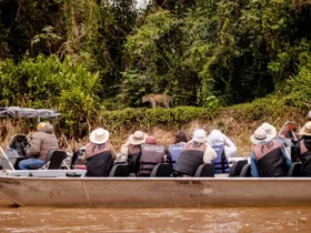 Retomada pós-pandemia: Viagens de famílias em Mato Grosso crescem 12,8%, o 4º maior salto do país