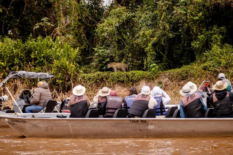 Mato Grosso busca inspiração na África do Sul para fortalecer turismo de safári