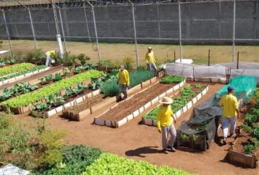 Oficinas prisionais em Mato Grosso oferecem trabalho e qualificação a reeducandos
