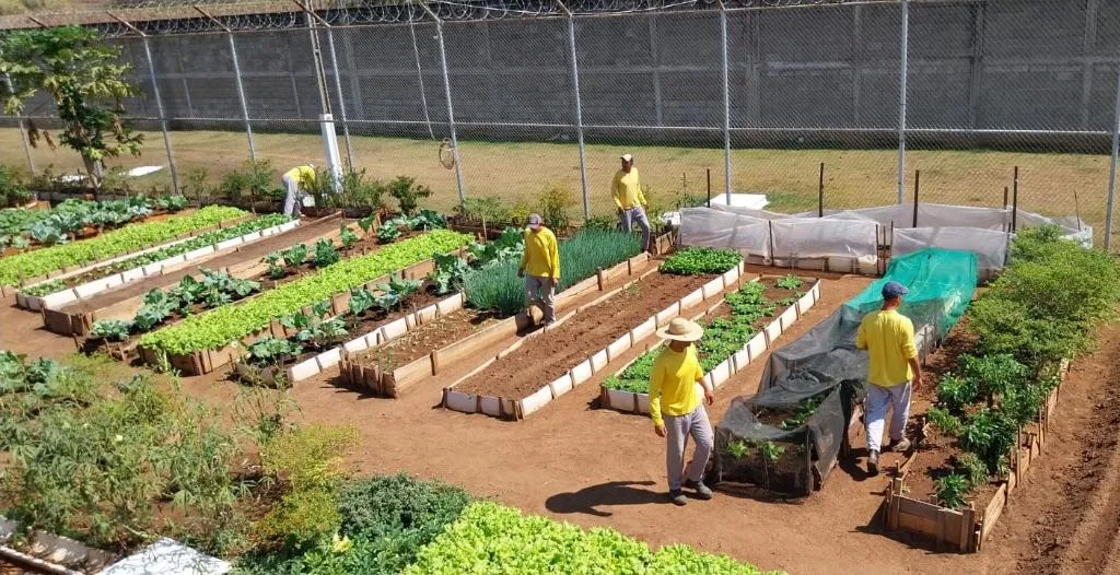 Oficinas prisionais em Mato Grosso oferecem trabalho e qualificação a reeducandos