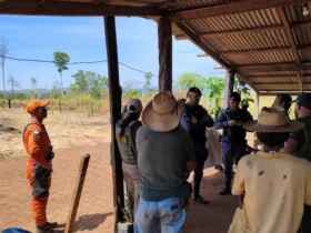 Homem é preso por atear fogo próximo ao Parque Cristalino em Mato Grosso
