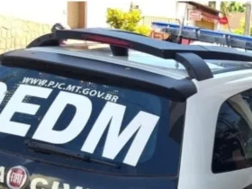 Polícia civil prende padrasto condenado por estupro em Rondonópolis