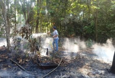 Produtores da agricultura familiar de Sorriso devem redobrar cuidados no periodo de seca 1