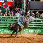 Rodeio da Expo Primavera pagara mais de R 80 mil em premiacoes