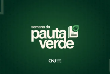 Semana da Pauta Verde mobiliza as 79 comarcas de Mato Grosso no julgamento de crimes ambientais