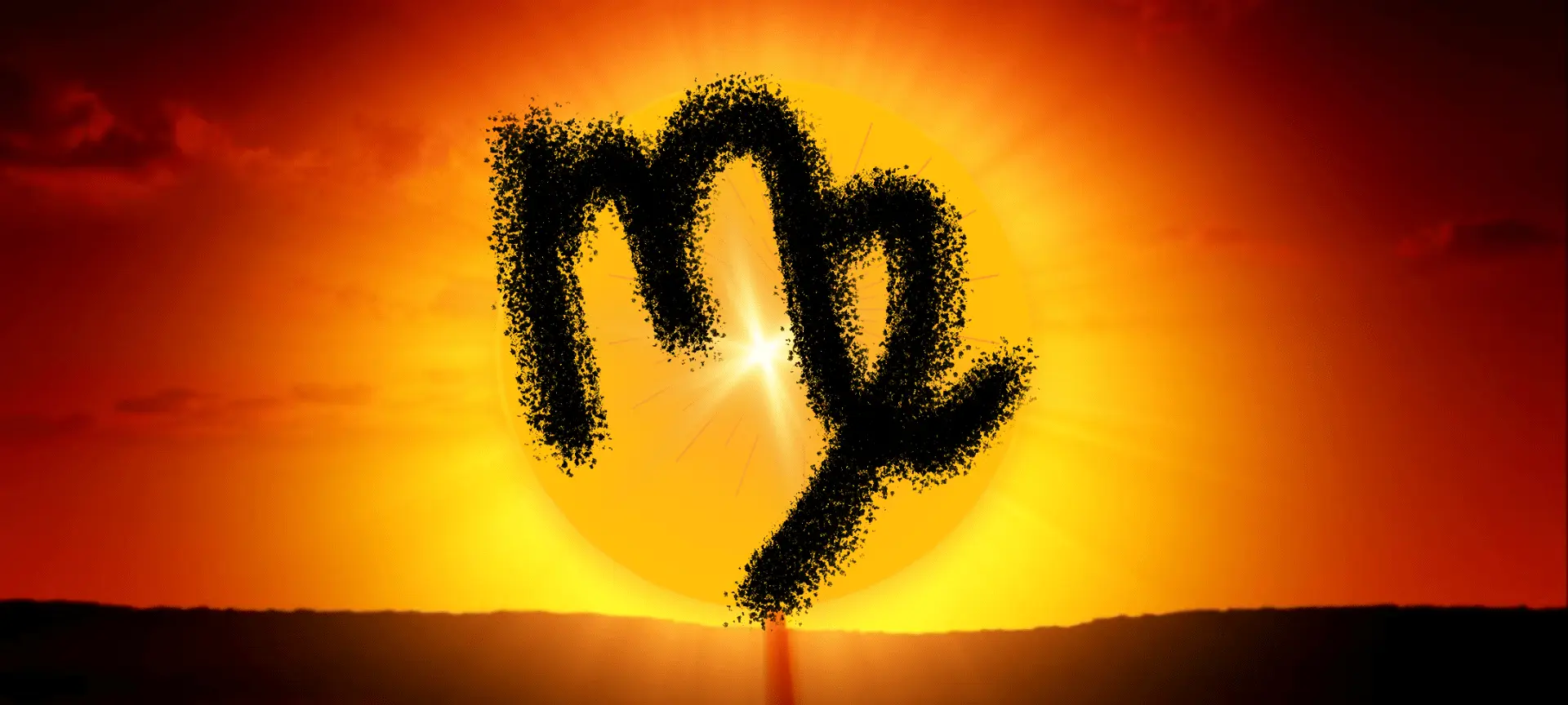 Sol em Virgem