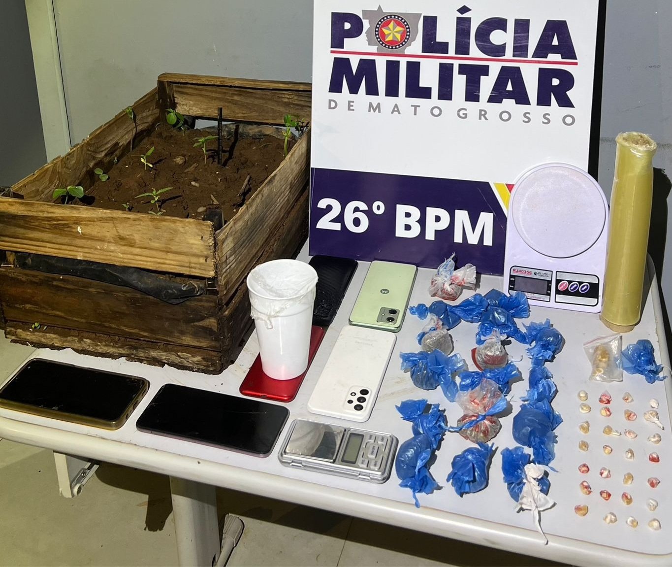 Polícia Militar encontrou drogas, balanças de precisão e até cultivo de maconha em quitinete onde três crianças estavam sozinhas e trancadas
