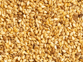 Abertura de mercado para exportação de gergelim do Brasil para a África do Sul