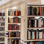 Pesquisa revela liderança feminina na leitura das periferias de São Paulo
