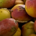 Abrafrutas apoia pacote de crédito e alerta para impacto em pequenos produtores