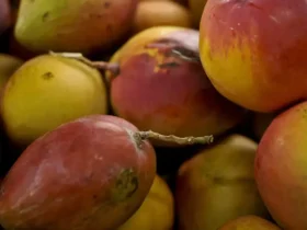 Abrafrutas apoia pacote de crédito e alerta para impacto em pequenos produtores