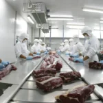 carne bovina cortes trabalhadores frigorifico