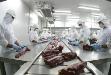 carne bovina cortes trabalhadores frigorifico