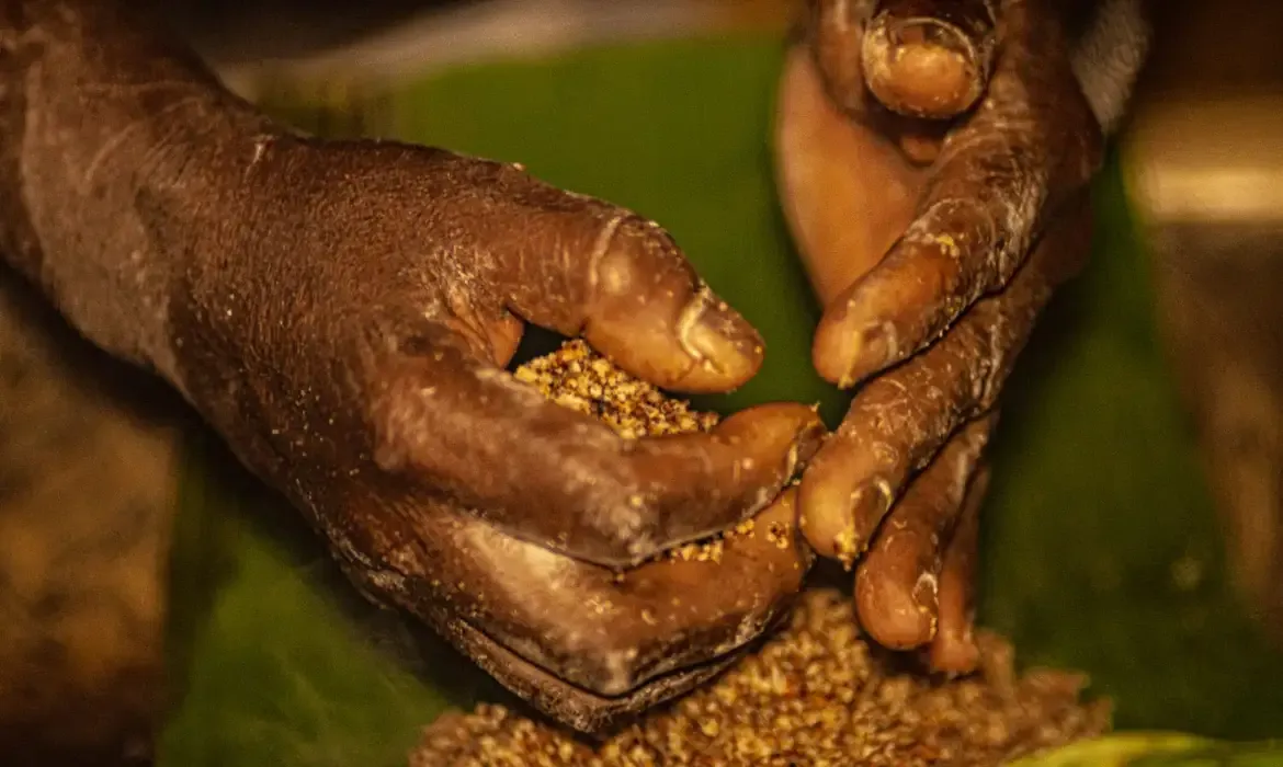Quilombolas em Goiás enfrentam ameaças e conflitos por disputa de terras