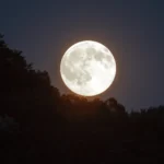 cenariomt - Lua