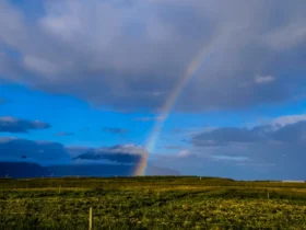 chuva na fazenda