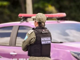 Brasília (DF), 07/08/2025 - Agosto Lilás: Operação Shamar realiza ações integradas de enfrentamento à violência contra as mulheres. Foto: Ministério das Mulheres/Divulgação