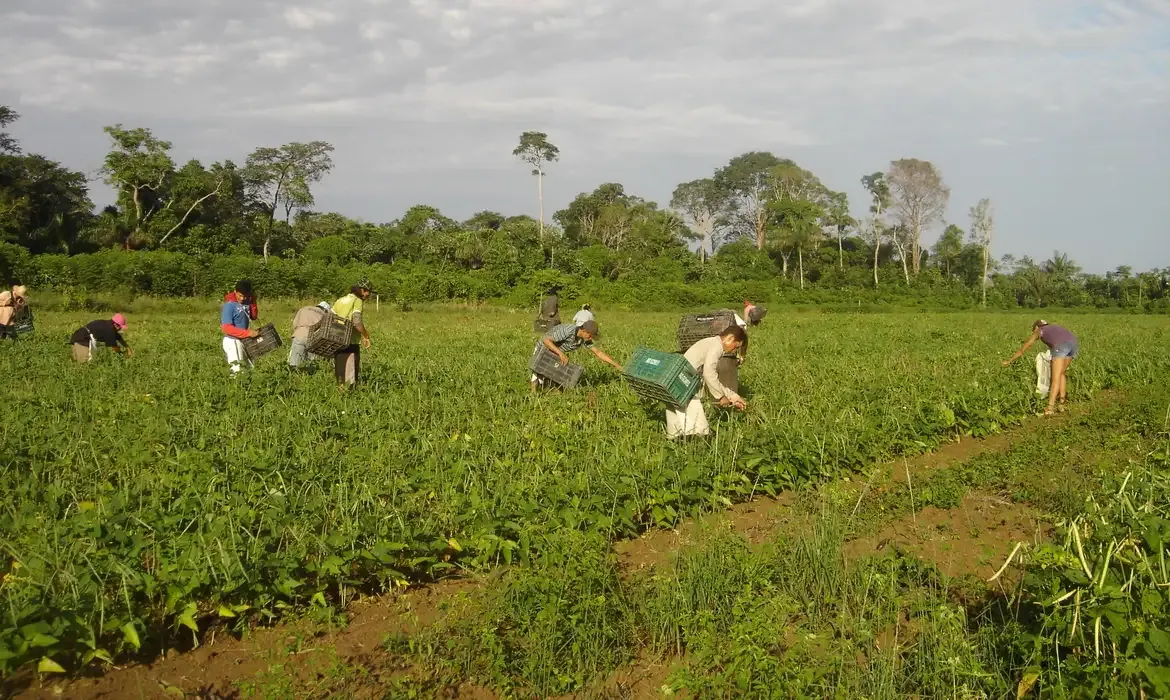 Microcrédito amplia acesso a pequenos produtores pelo AgroAmigo